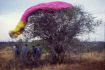 paramoteur_namibie91_001.jpg (164889 octets)