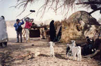 niger_janv94_004.jpg (84907 octets)