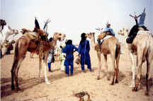 niger_janv94_013.jpg (68179 octets)