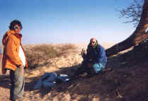 niger_janv97_002.jpg (53388 octets)