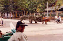 paramoteur_vietnam91_009.jpg (67722 octets)